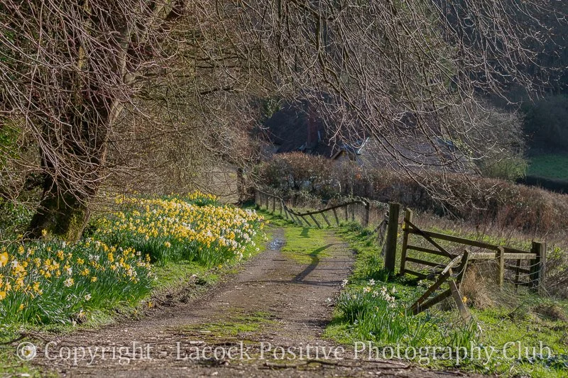 Ann - Feb - Walking to Branscombe Beach_.jpg
