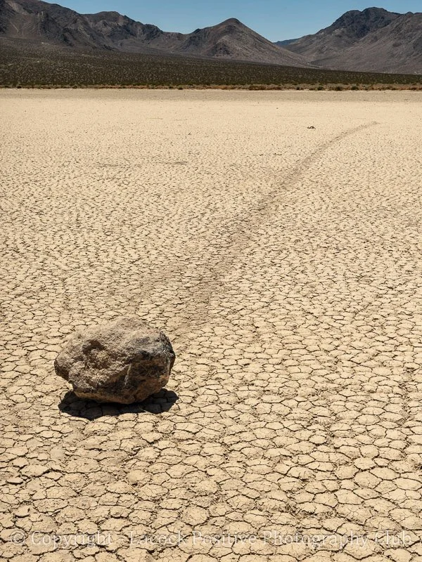 Tony Bamford - Rock at the Racetrack.jpg