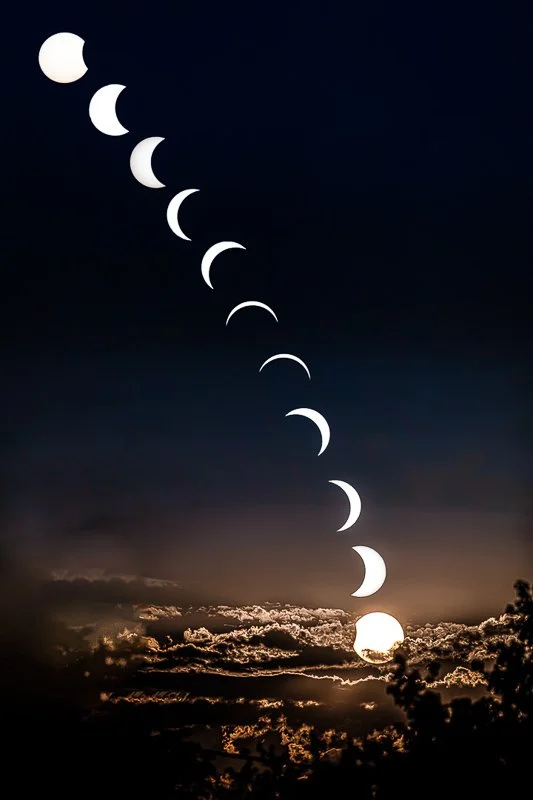 PMale_Eclipse2026.jpg
