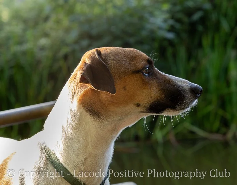 Lesley_Hungerford 2.jpg