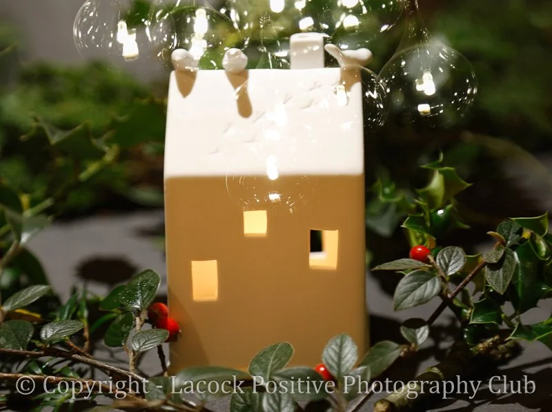 Lesley_Christmas 2.jpg