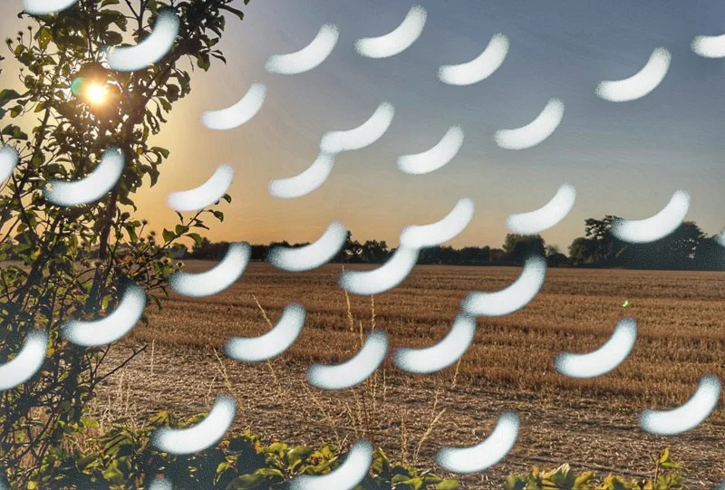 David S Eclipse 2.jpg