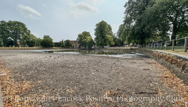 The Crammer Devizes  WPD- David s.jpg