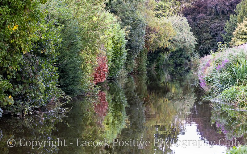 David S Hungerford DS-1.jpg