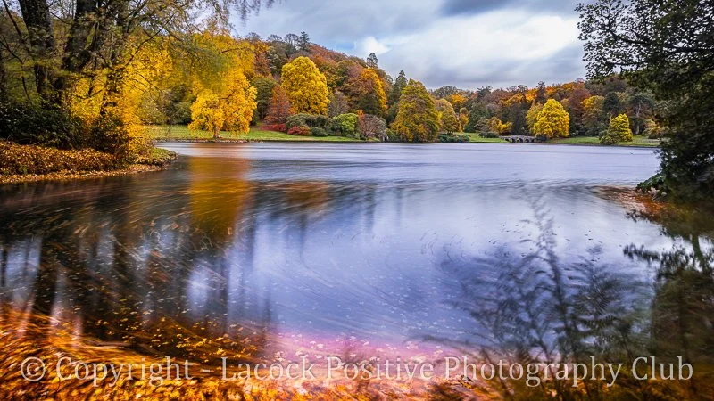 PMale_Oct colour.jpg