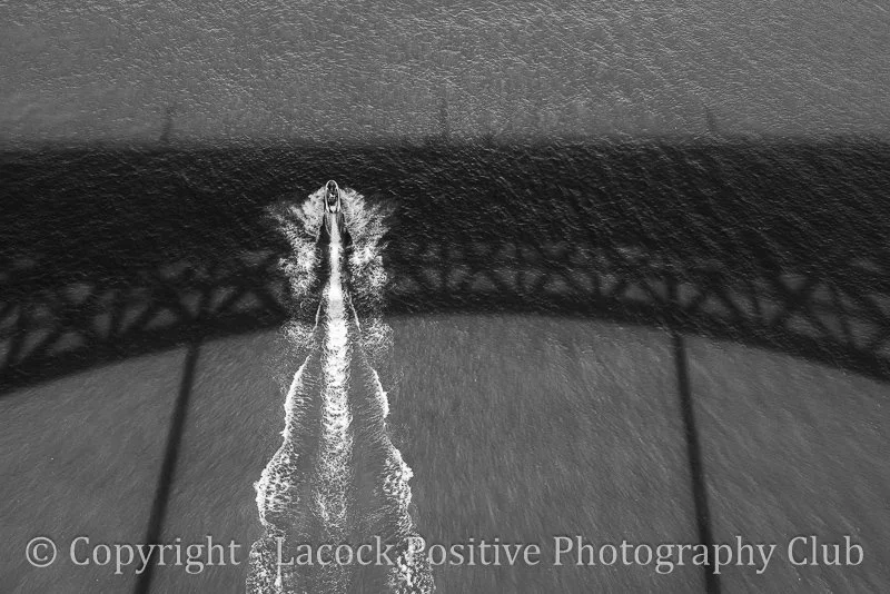 SueP_June_Porto Bridge.jpg