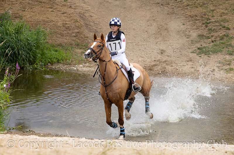 Lesley_Dauntsey 3.jpg