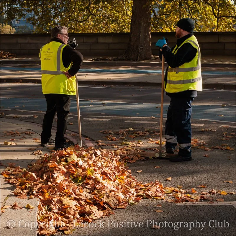 SueP_Autumn Colour.jpg