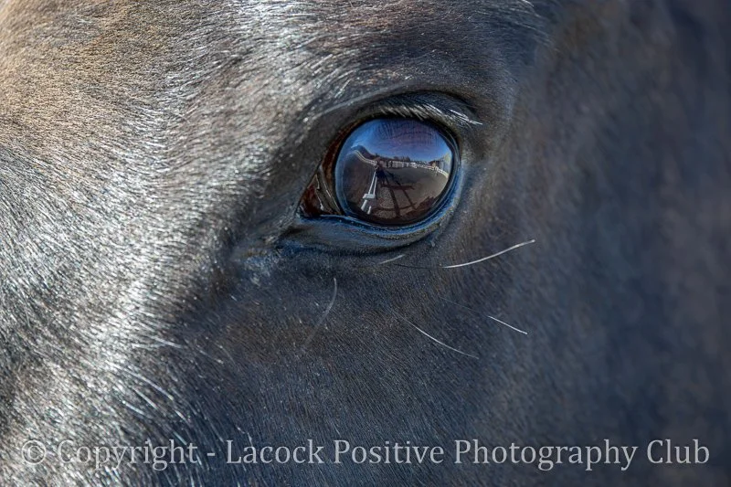 Derek L - March Pic.jpg