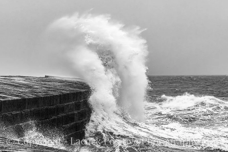 David S s Oct Lyme regis  David S-1.jpg