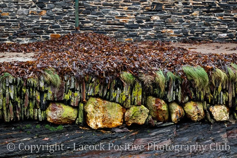 Ann H - T for textures - Boscastle_.jpg