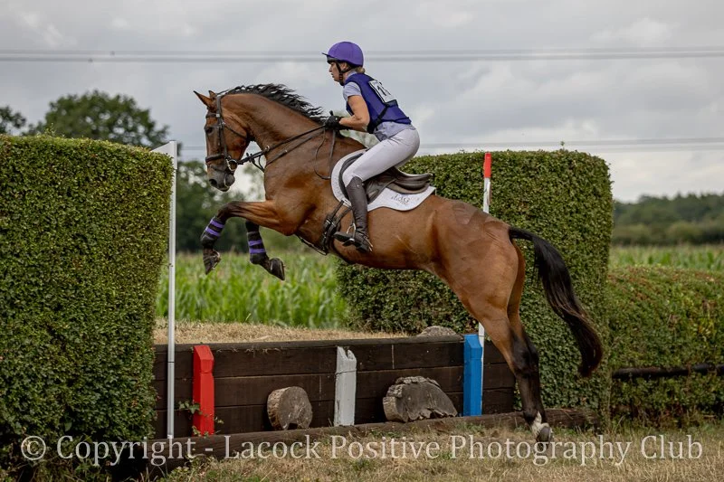 Derek L - Dauntsey (2).jpg