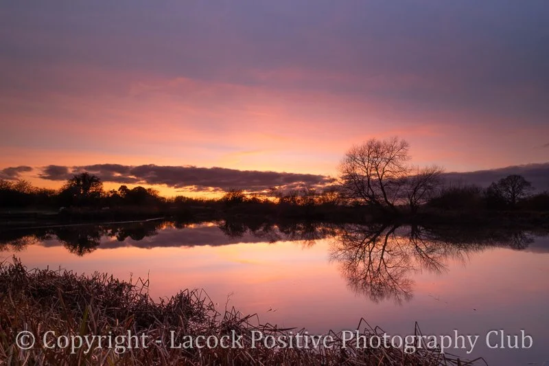 Craig P - Tranquility.jpg