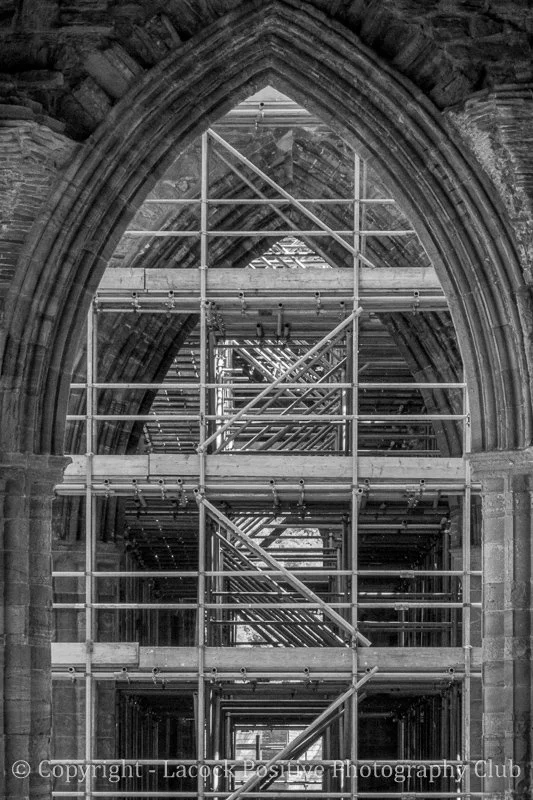 Derek L - S for scaffolding.jpg