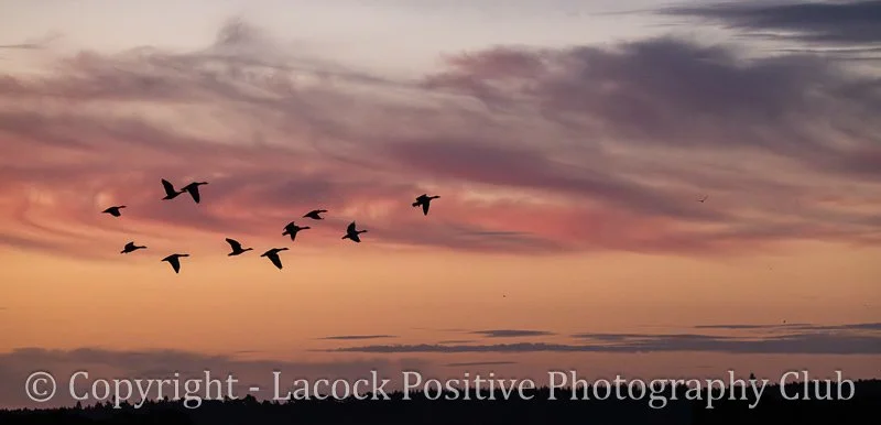 Pam Bamford - Snettersham Sunrise.jpg