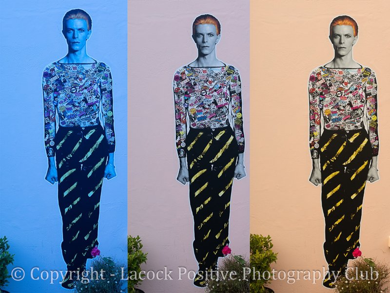 Lesley_T1 Triptych.jpg