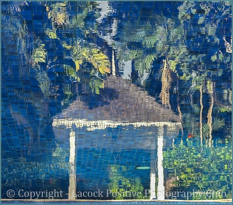 Amanda_January Pic.jpg