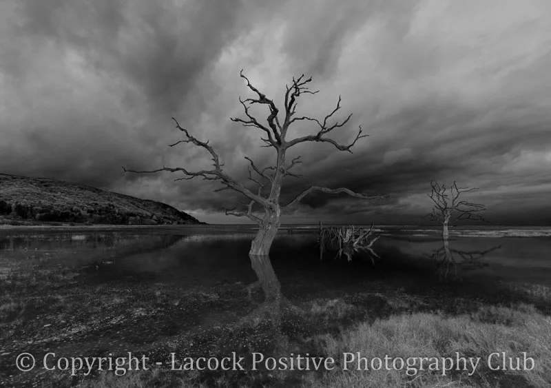 Caroline_Salt marsh.jpg