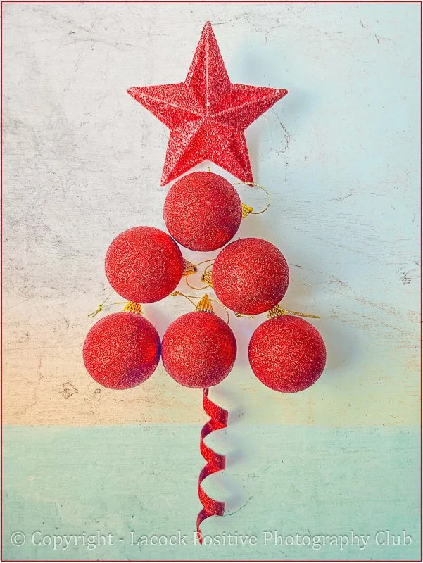 Amanda_Christmas Pic.jpg