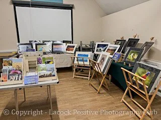 IMG_8014.jpg