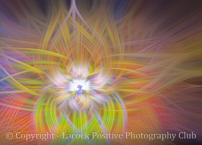 Tony Bamford - Abstract.jpg