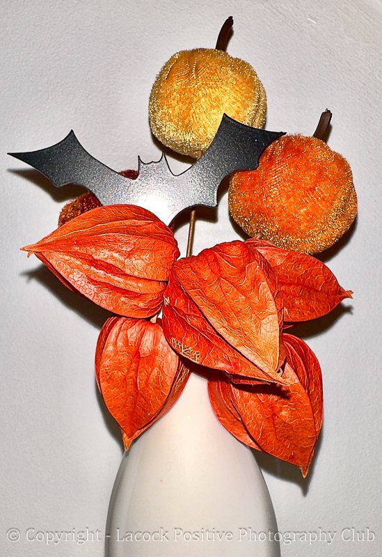 David S IMG_9161.jpg