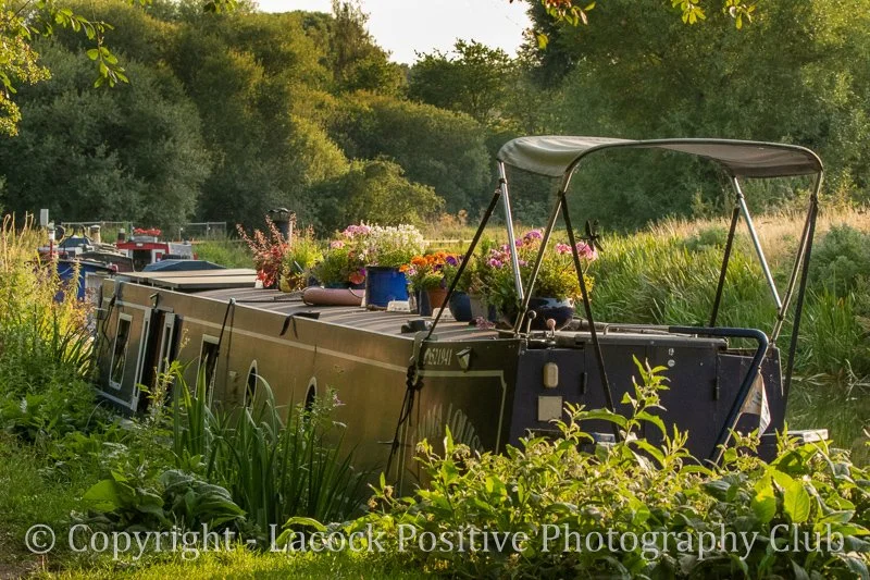 Ann - Hungerford 1_.jpg