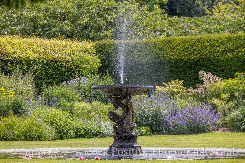 Rooks Nest David S -1.jpg