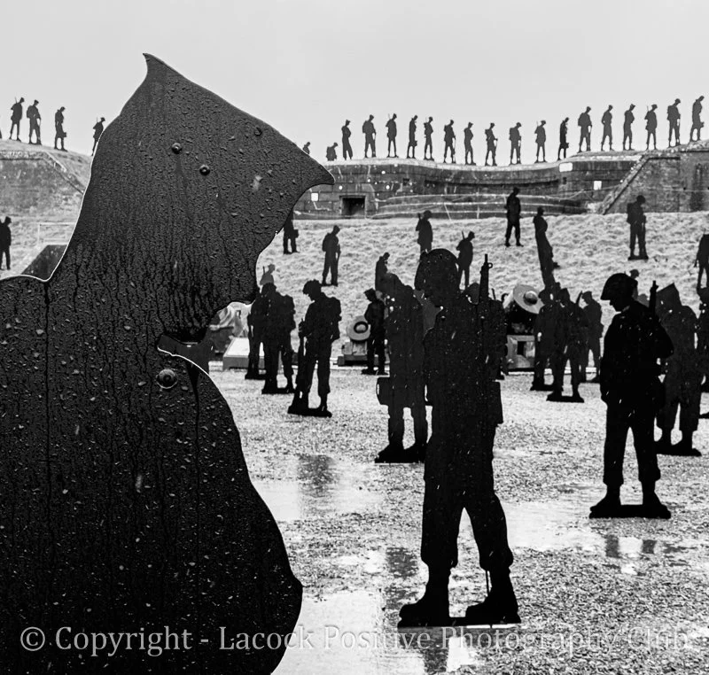 David S - Standing with Giants-Jan - David S_.jpg