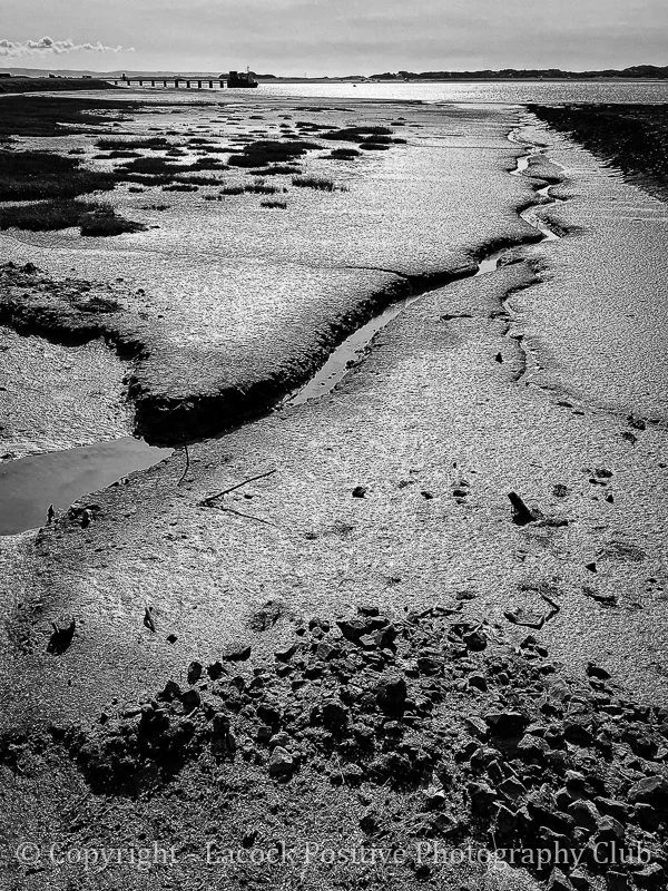 SueP_Ent & Ex 1_Don_t Eat Fish Here!.jpg