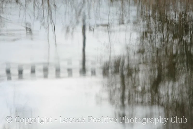 Julia February canal reflections.jpg