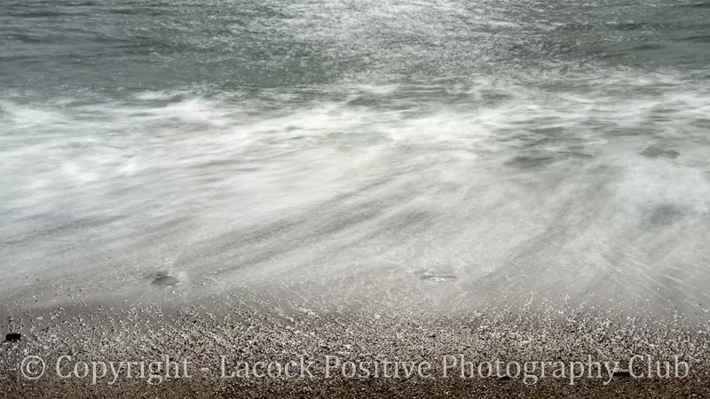 Movement David S-1.jpg