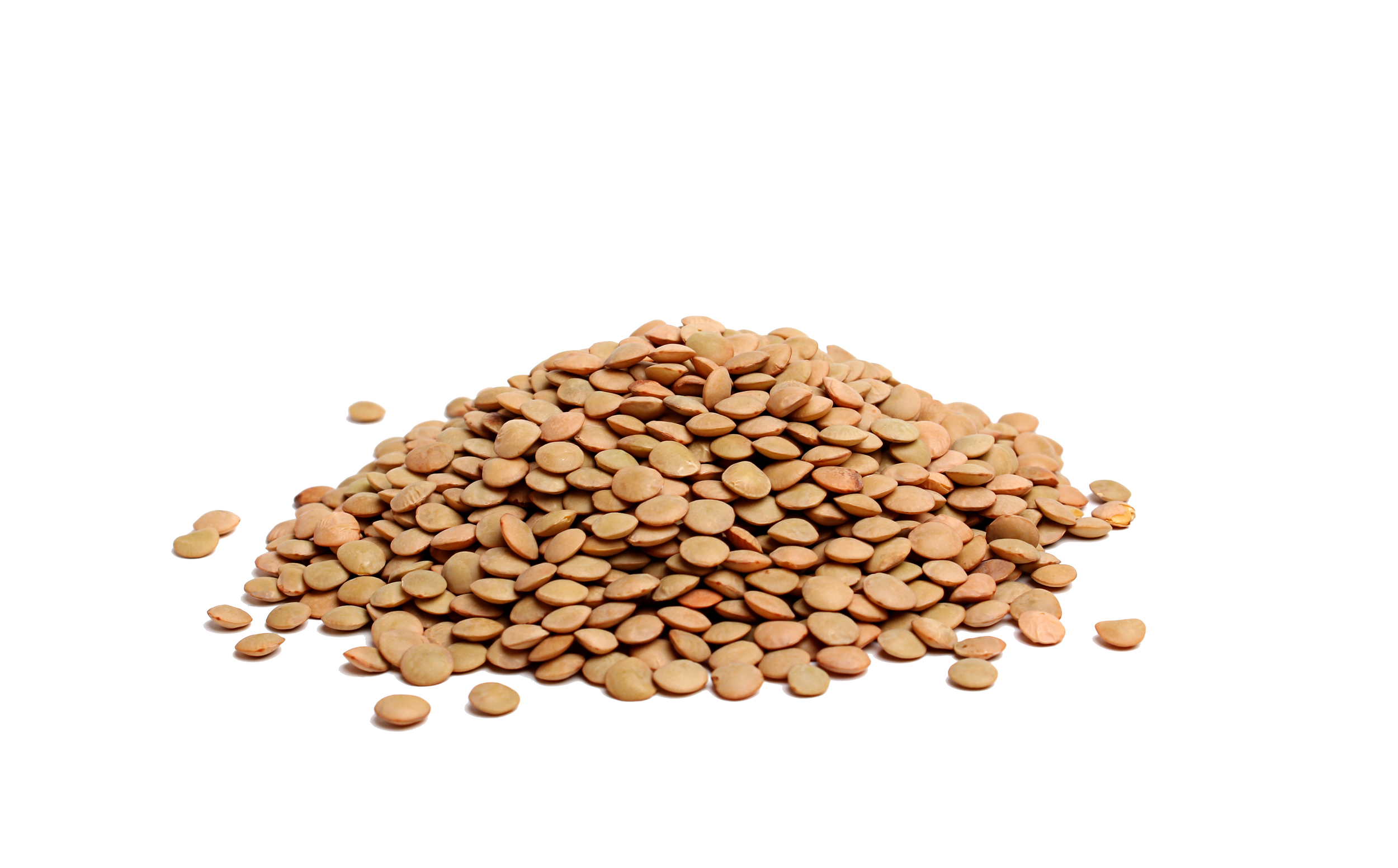 Lentils