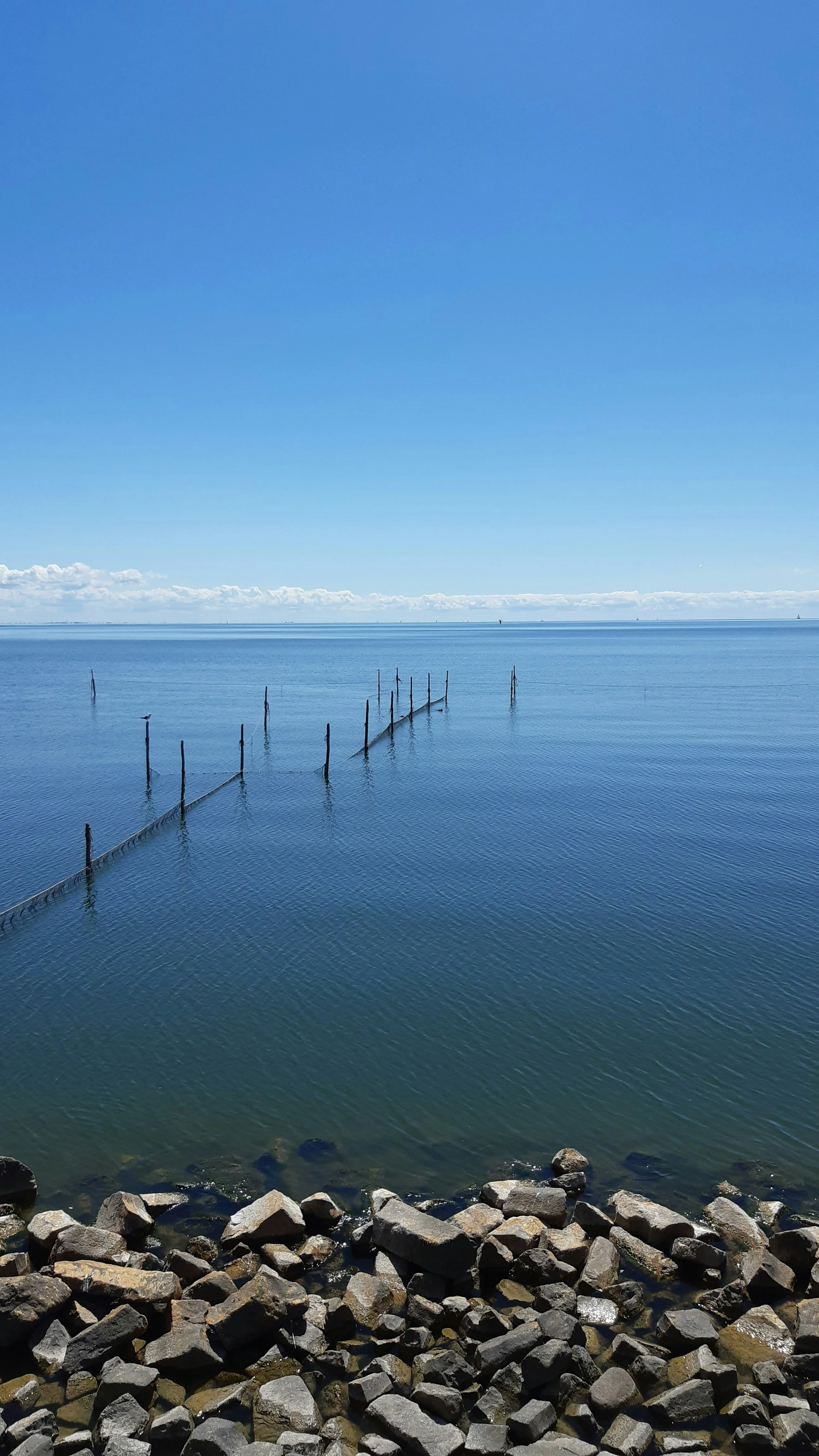 foto van het wad met een blauwe lucht