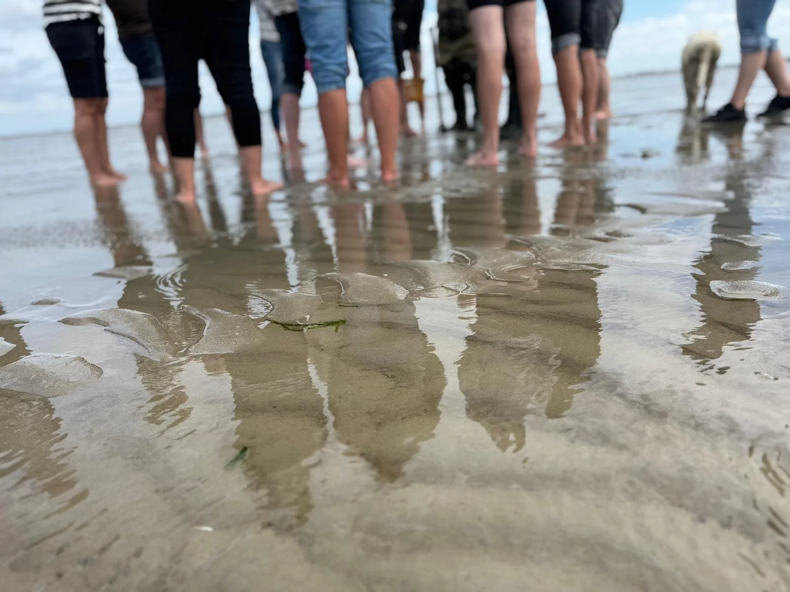 een groep mensen die aan het wadlopen zijn