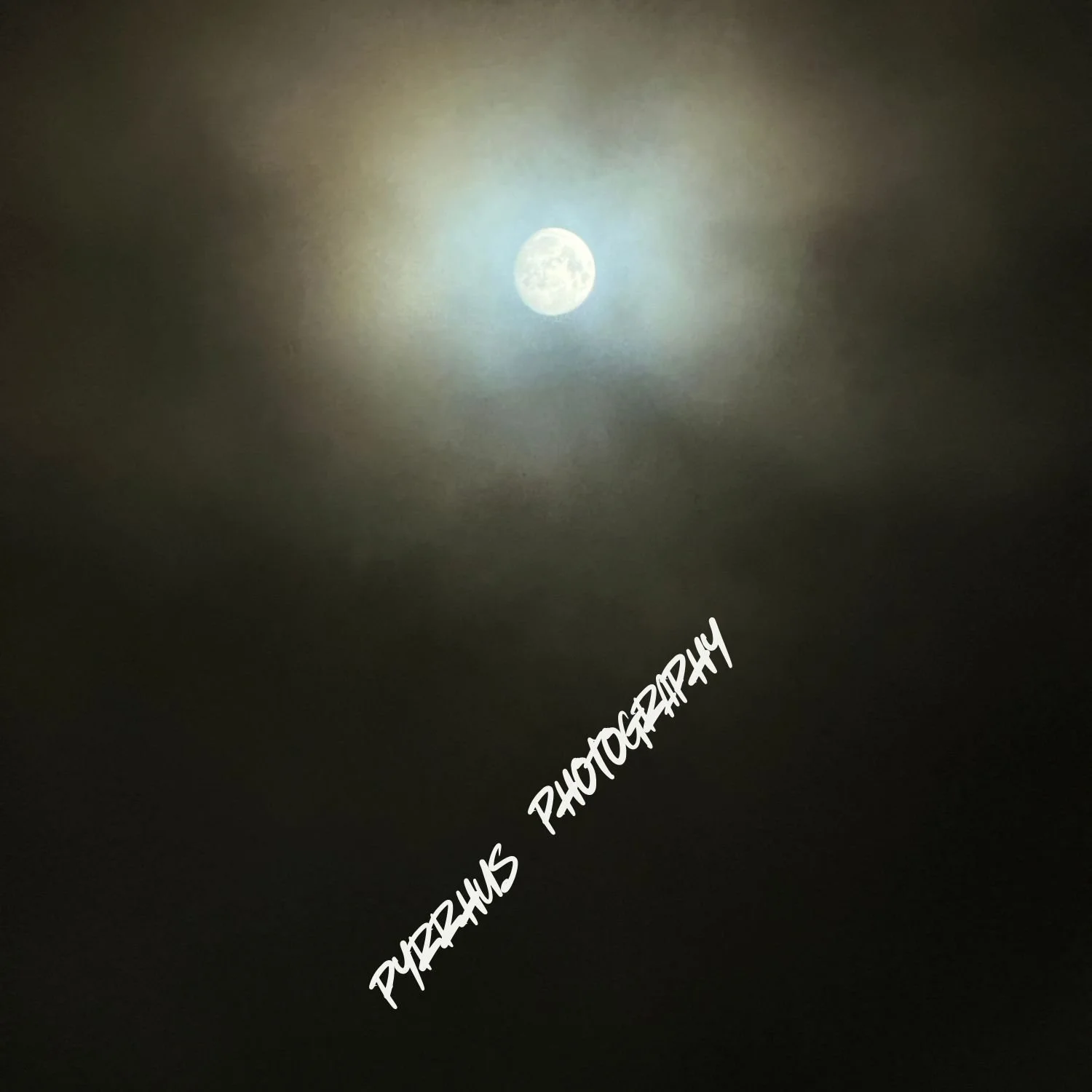 Pyrrhus - Photography | "Field Notes"