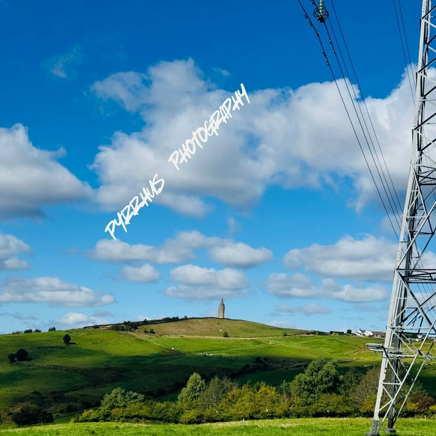 Pyrrhus - Photography | "Field Notes"