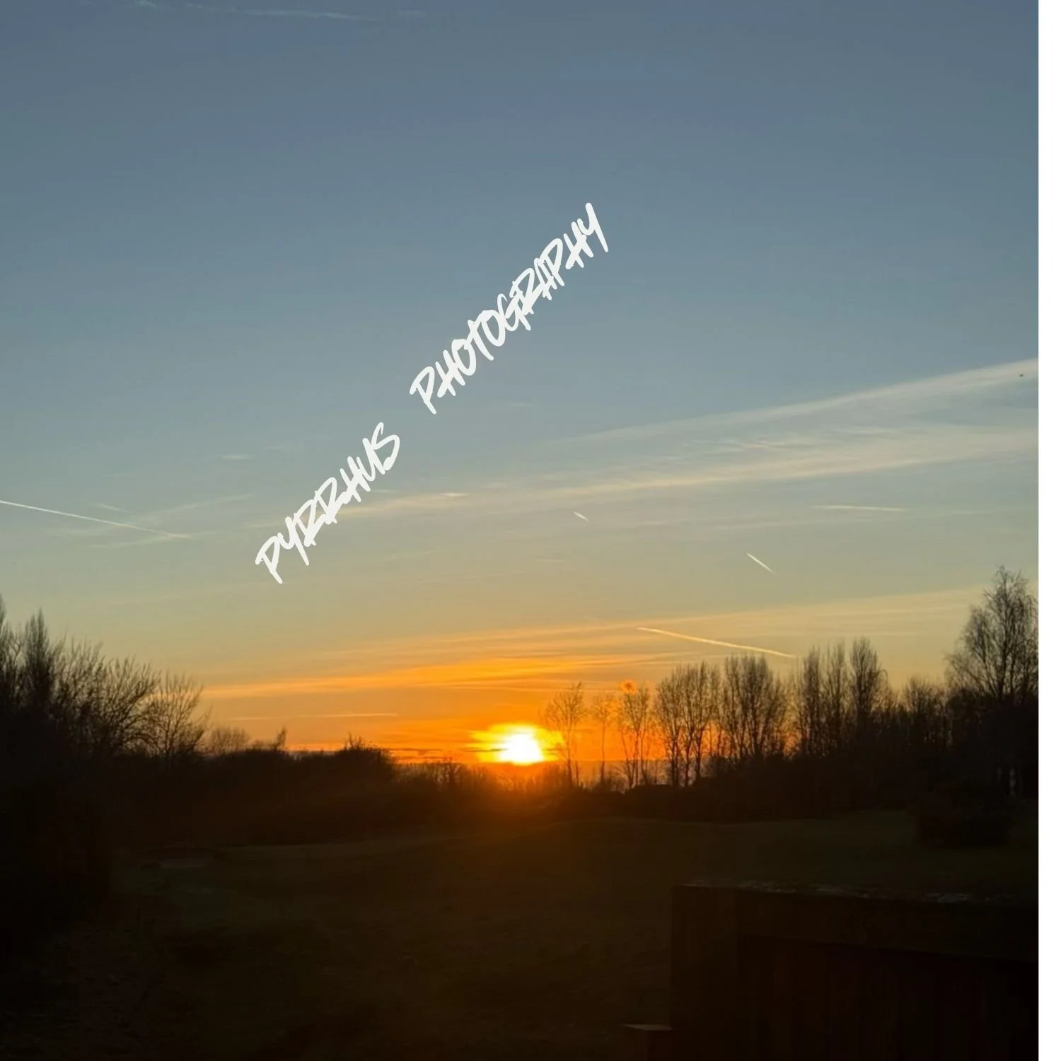 Pyrrhus - Photography | "Field Notes"