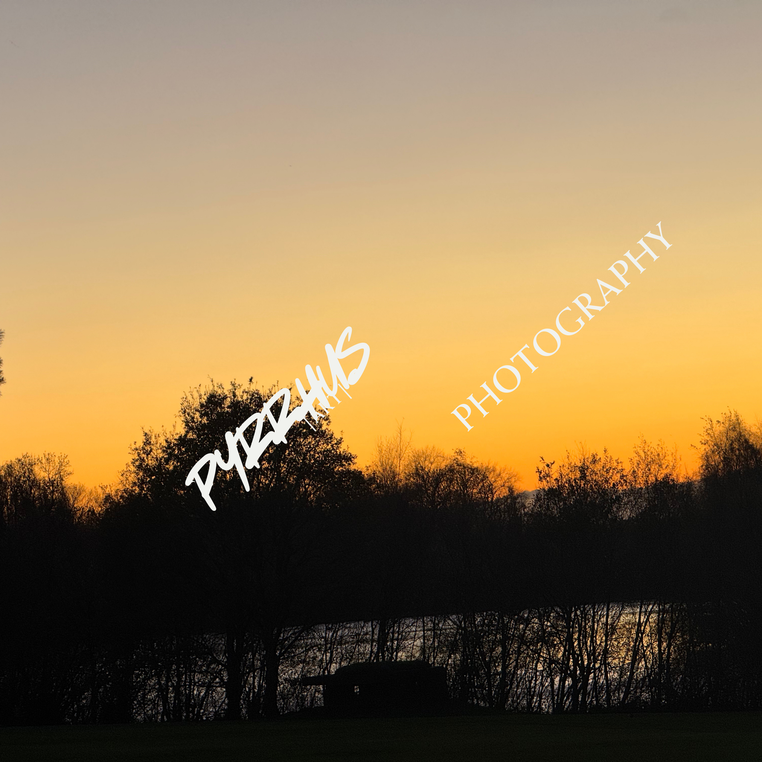 Pyrrhus - Photography | "Field Notes"