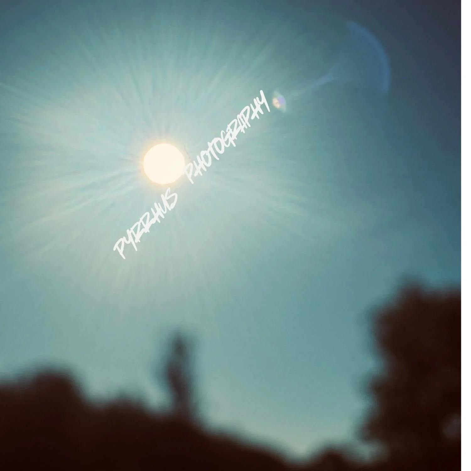 Pyrrhus - Photography | "Field Notes"