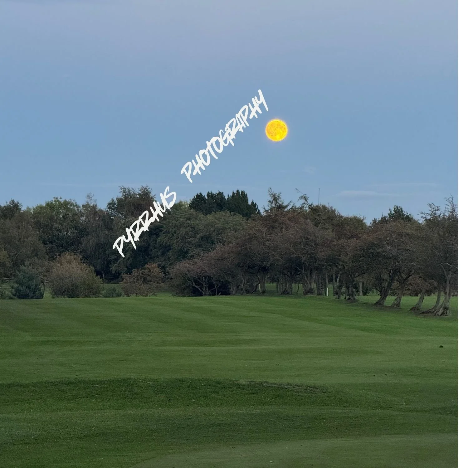 Pyrrhus - Photography | "Field Notes"