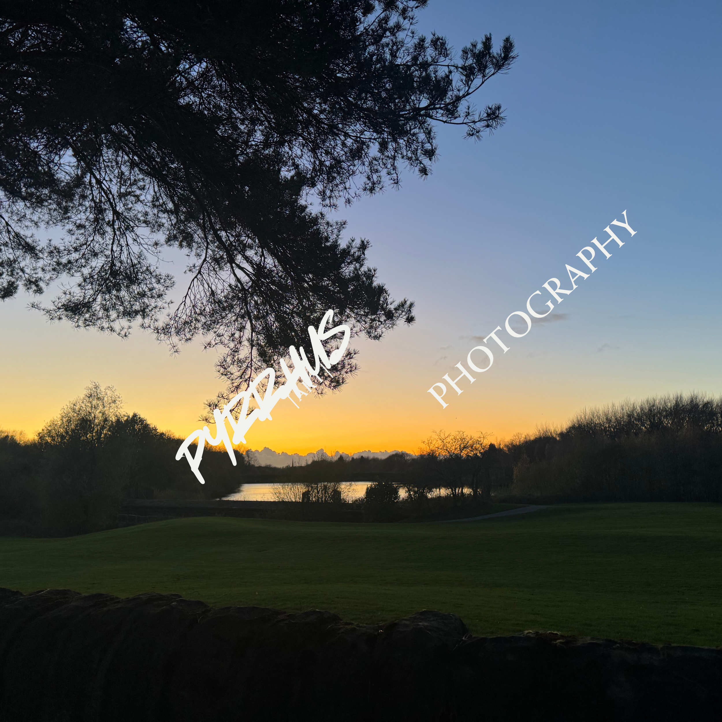 Pyrrhus - Photography | "Field Notes"