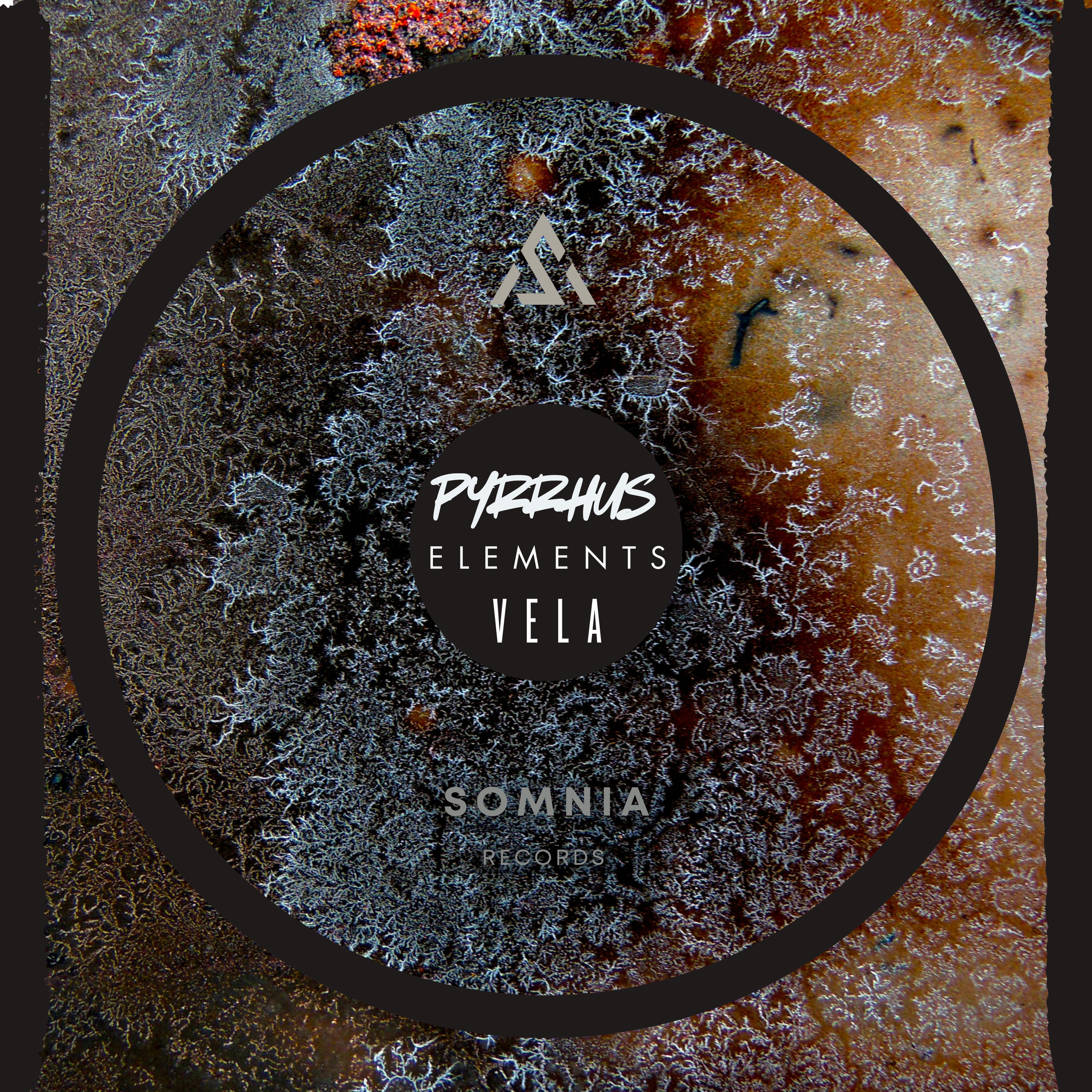 Album cover with abstract, textured background in earthy tones of brown, black, and white, featuring a black circle in the center with white text reading 'PYRZKHUS ELEMENTS VELA' and 'SOMNIA RECORDS' at the bottom.