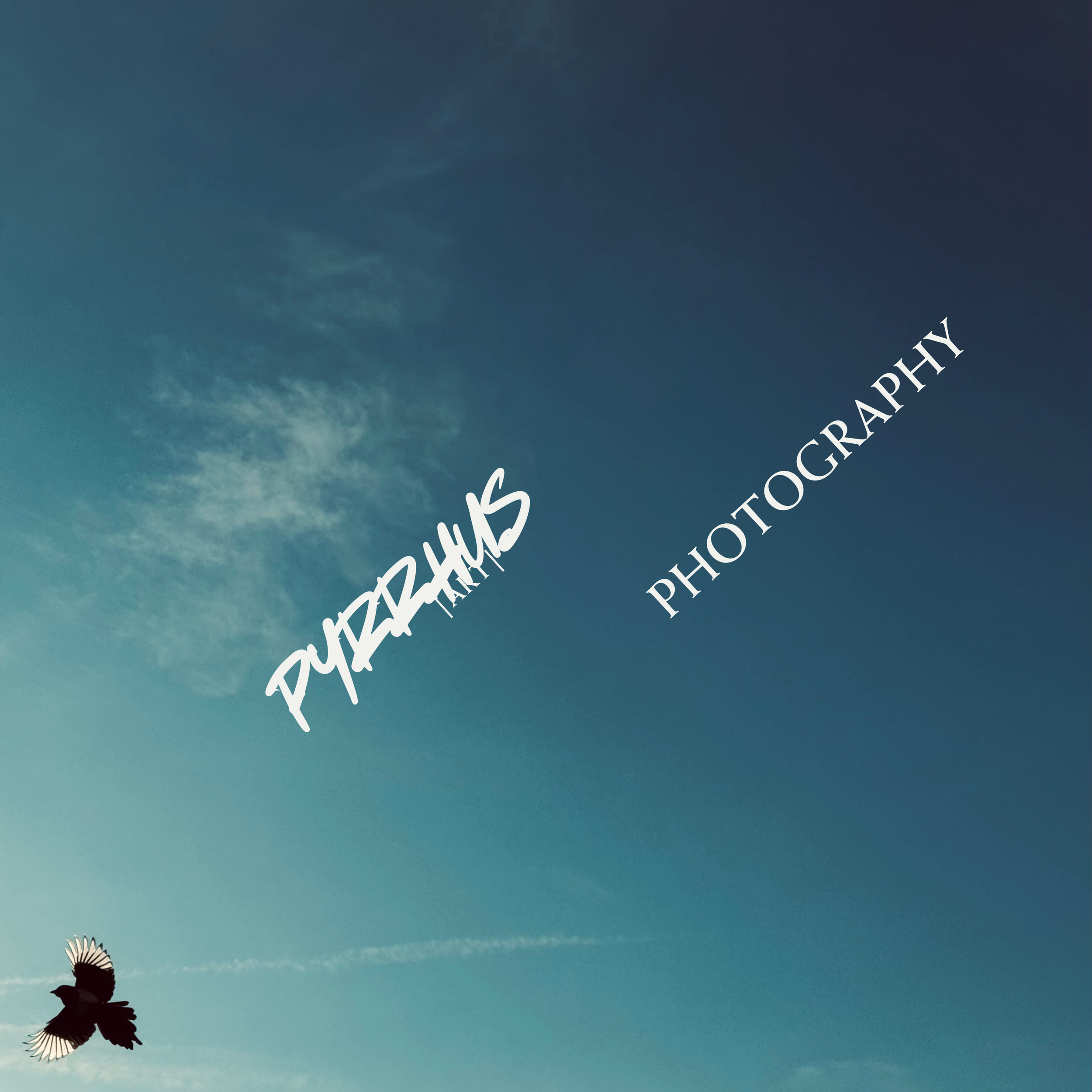 Pyrrhus - Photography | "Field Notes"