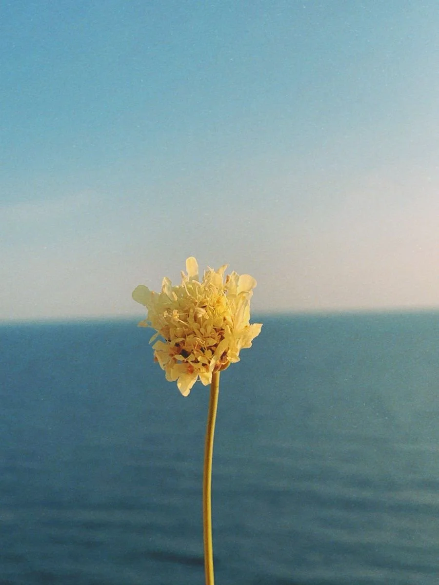 Deep Release 60 Minutes