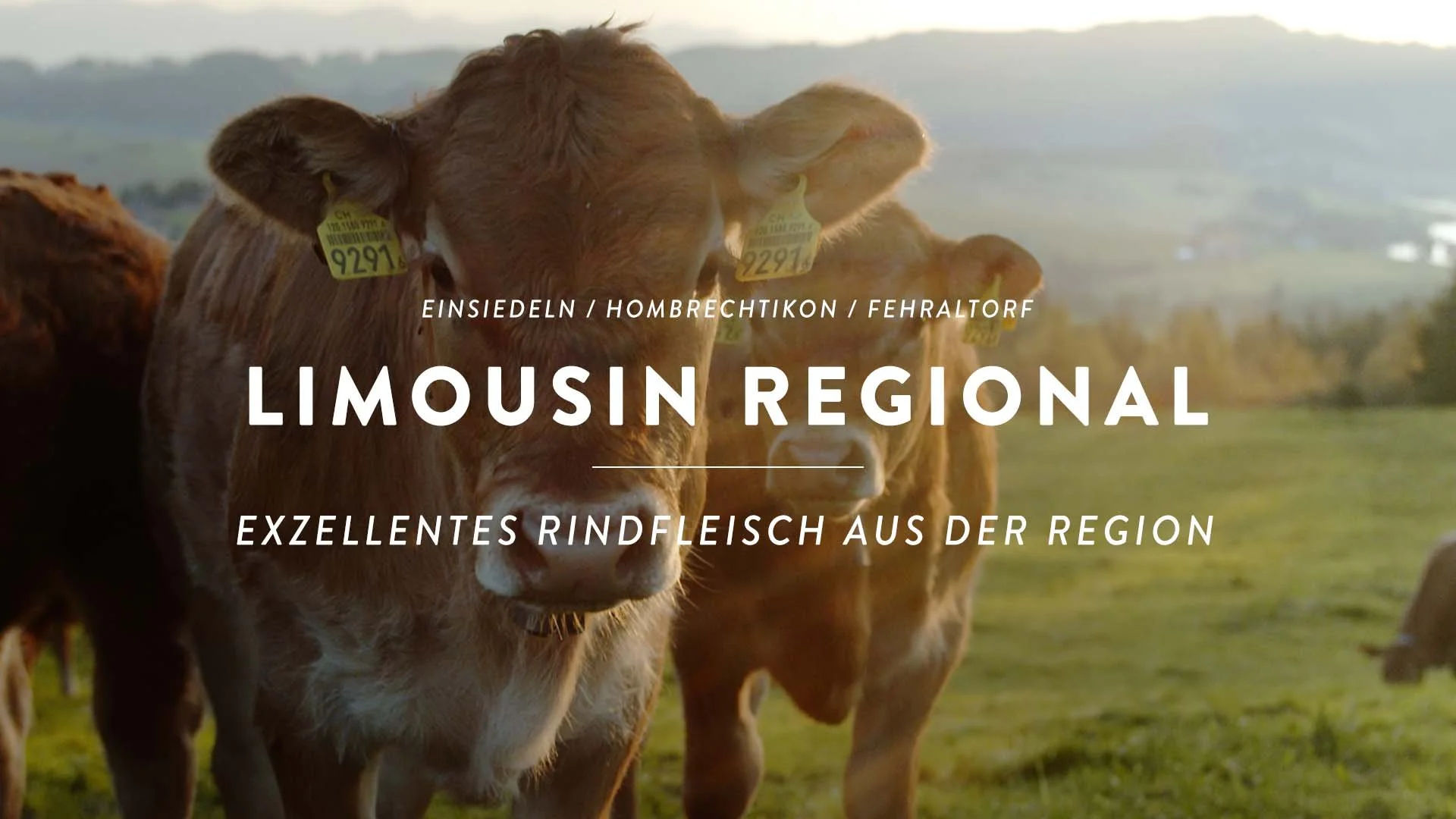 Limousin Region Imagefilm