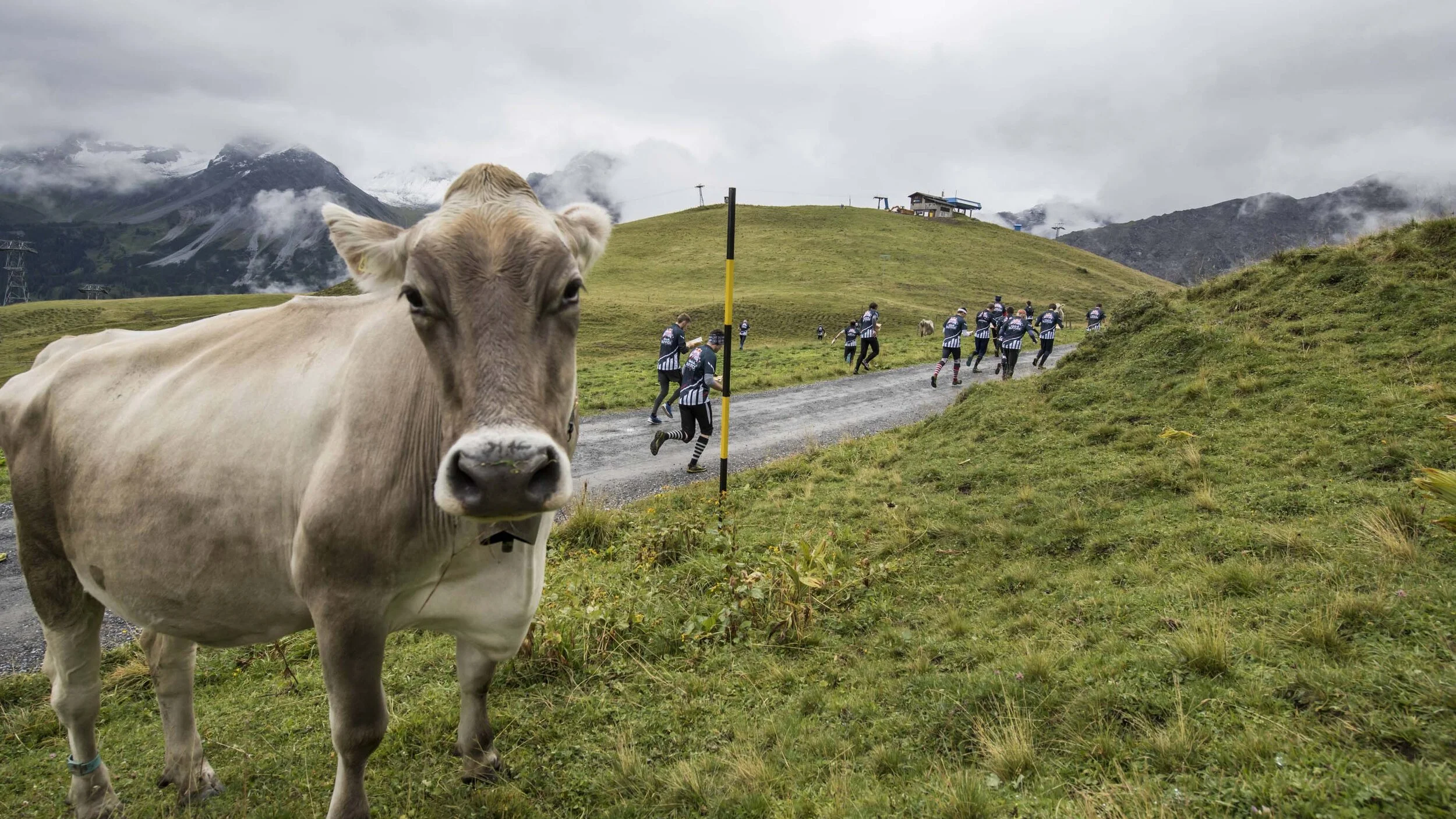 Red Bull Alpitude (Eventclip)