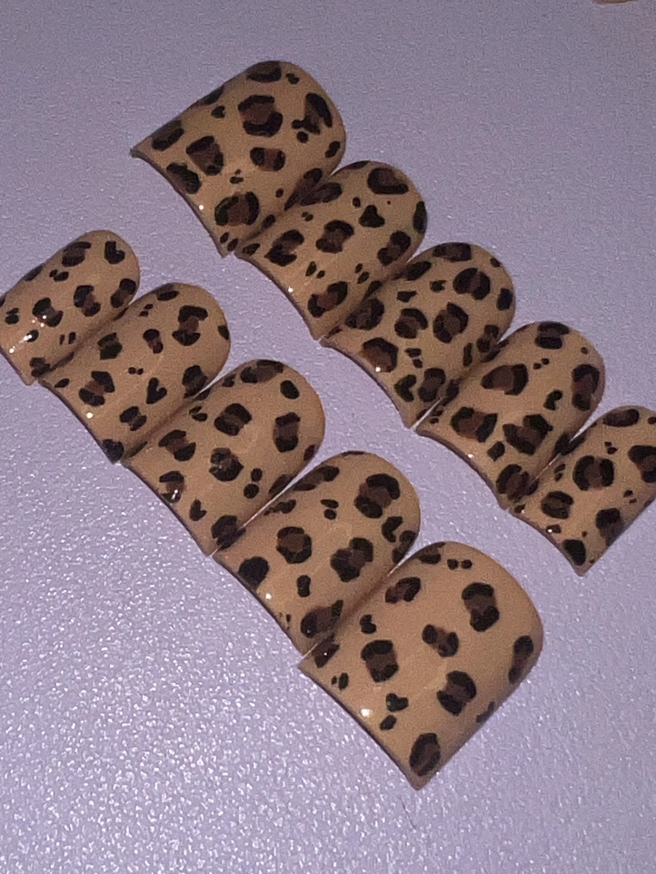 Leopard Print Lori
