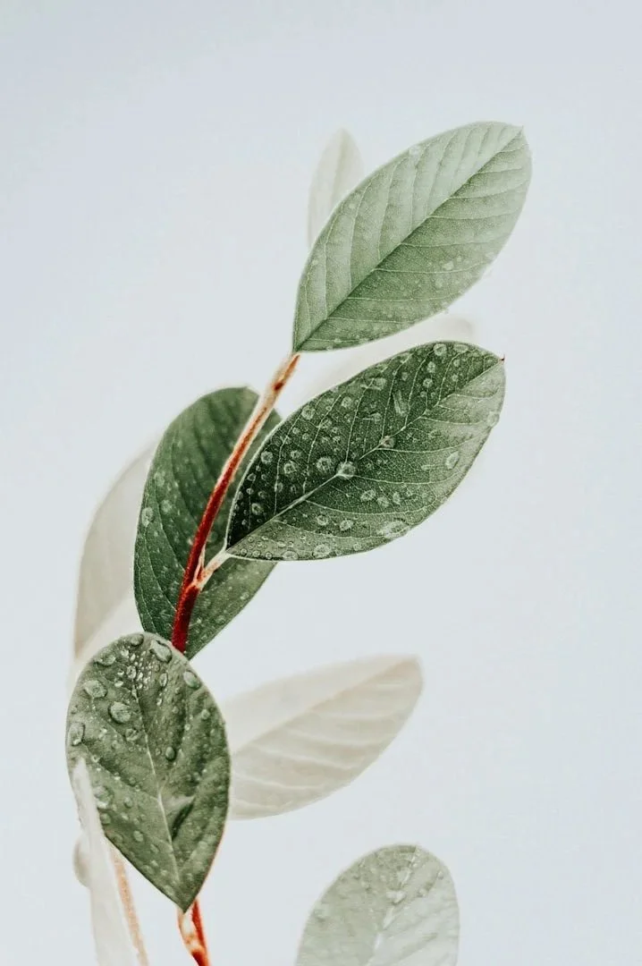 Praxis für ästhetische Medizin Limmattal
Ästhetische Praxis Zürich Umgebung
Botox Praxis Limmattal
Well Aging Zürich
Ästhetische Behandlungen Limmattal
Regenerative Medizin Zürich
Ganzheitliche ästhetische Mediz
Medizinische Ästhetik Zürich Umgebung