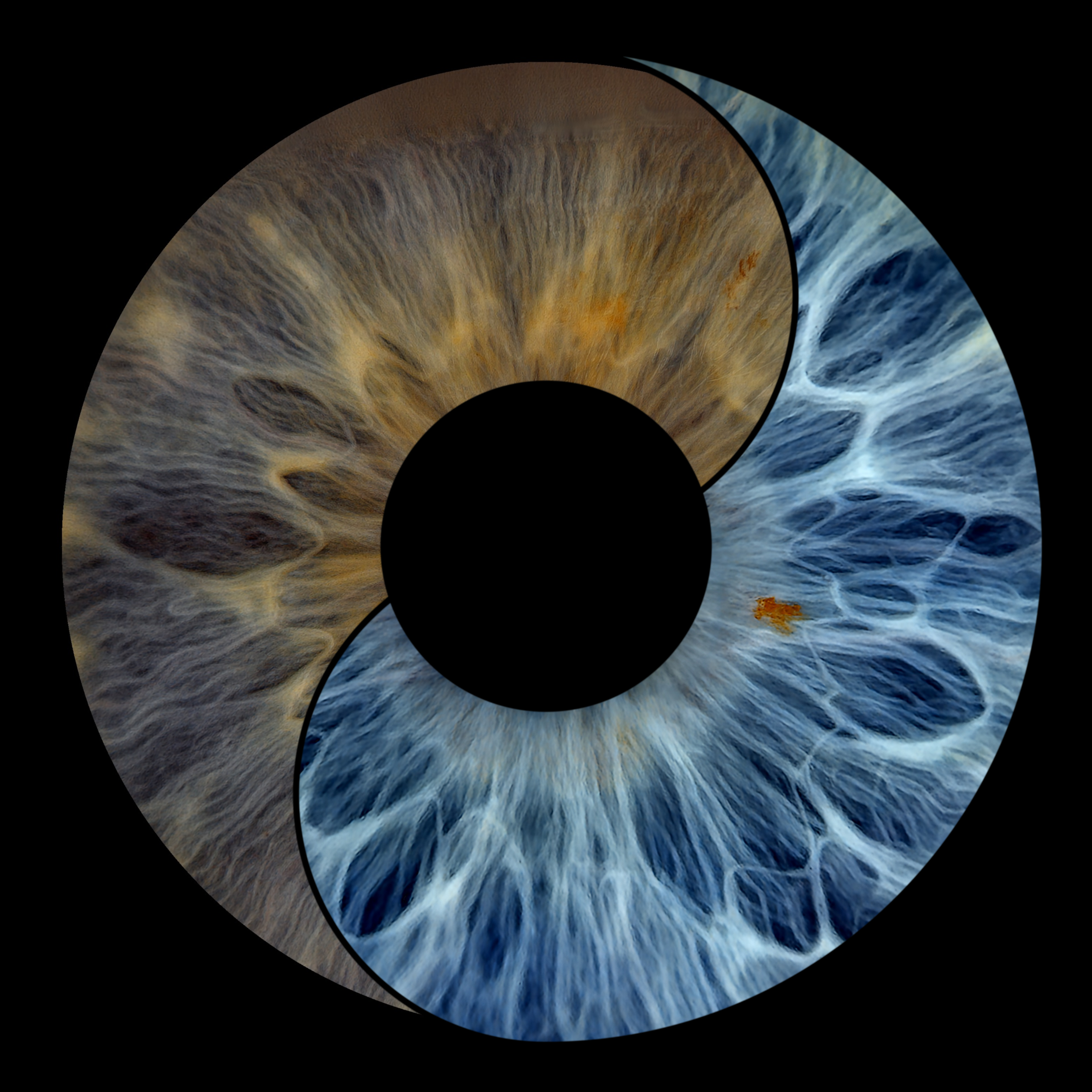 Ying Yang 3 Cheryl 05-04-2026 (1).png